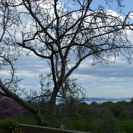 Art Pelion Agria