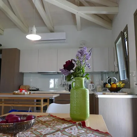 Art Pelion Villa Agria