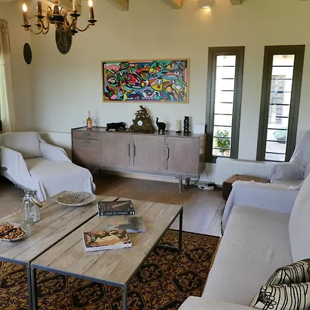 Villa Art Pelion Agria