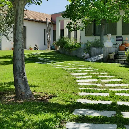 Art Pelion *
