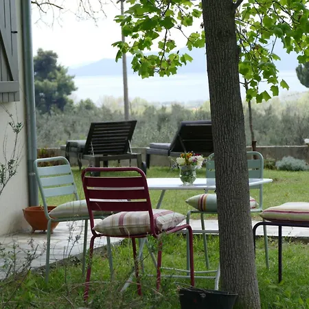 Art Pelion