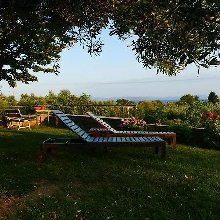 Art Pelion *