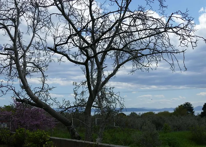 Art Pelion 阿格里亚