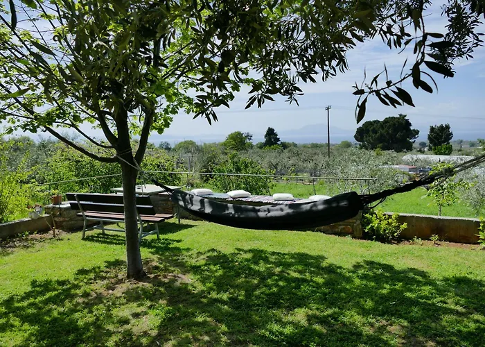 Art Pelion * 阿格里亚