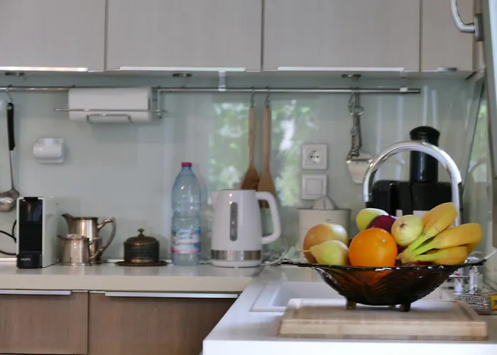 Art Pelion 阿格里亚