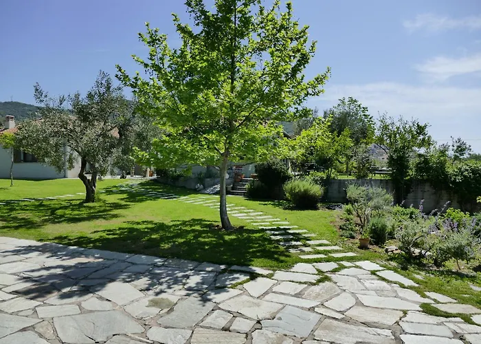 Art Pelion * 阿格里亚