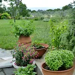 Art Pelion Вилла *