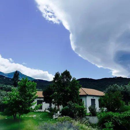 Art Pelion