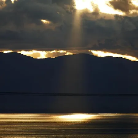Art Pelion *