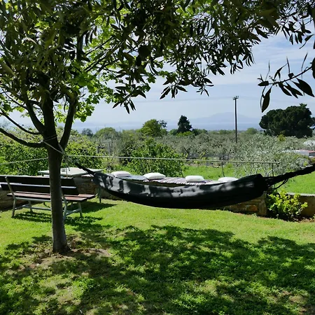 Art Pelion * 阿格里亚