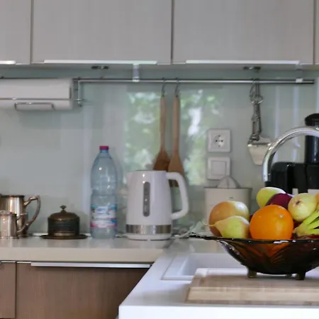 Art Pelion 阿格里亚