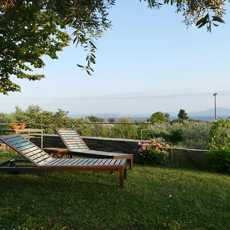 Art Pelion * Agriá